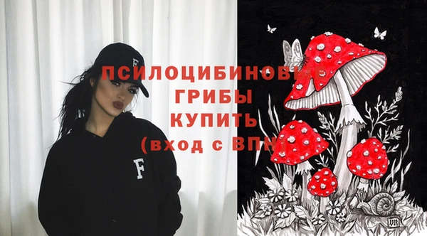 метадон Михайлов