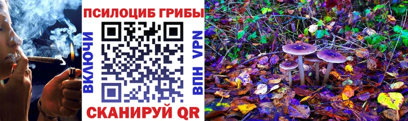 где можно купить наркотик  Рязань  Галлюциногенные грибы мицелий 