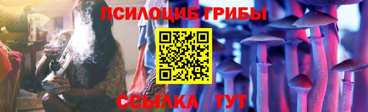 Рязань  Псилоцибиновые грибы Psilocybe  Вход с VPN  Галлюциногенные грибы MAGIC MUSHROOMS 
